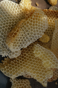 bee wax
