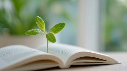 A Fresh Green Seedling Sprouting from the Pages of an Open Book, Symbolizing Growth, Knowledge, and the Interconnection Between Nature and Education