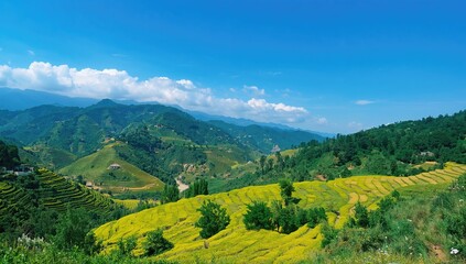 Lush green terraced fields in a mountainous landscape, showcasing seasonal change