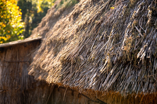 茅葺き屋根のクローズアップ