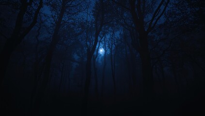Fototapeta premium Darkness enveloping a forest, highlighting isolation