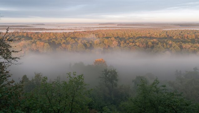 Foggy autumn morning in the woods prior to dawn, seasonal change