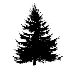 Pine tree silhouette isolated on black canvas Winter wonderland forest treescape Festive celebration
