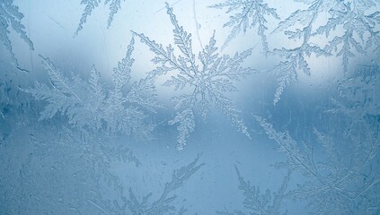 Frosted window patterns form intricate designs on a light blue background, illustrating nature's artistry in winter