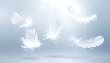 Obraz premium Five translucent white feathers float against a blurred, light blue and white gradient background, giving a sense of lightness