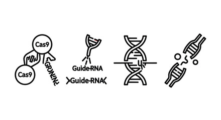 Crispr gene editing technology dna double helix molecule scientific research icons vector