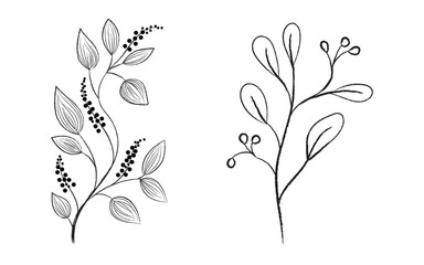 Simple floral branch art, Monochrome floral sketch, Elegant botanical outline