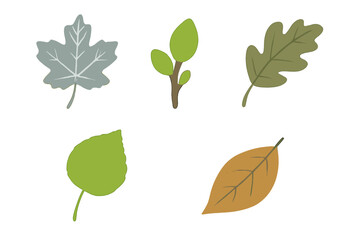 Stylized collection of diverse tree leaves and small branches in various seasonal colors