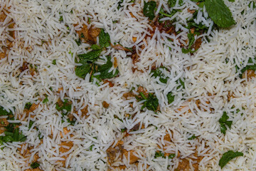 Authentic Indian Biryani Garnished with Mint and Fried Onions