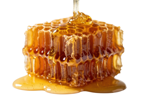 Rich amber honeycomb with intricate hexagonal cells, glistening golden honey actively dripping, macro close-up on transparent background. Concept of natural sweetness and purity