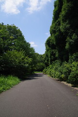 都市公園