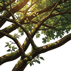 Isolated a Close-up of tree branches in a dense forest, with natural textures and sunlight filtering through the canopy. A tranquil scene showcasing the beauty of nature and woodland vector art.