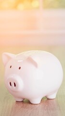 Cute pink piggy bank sitting on a reflective surface