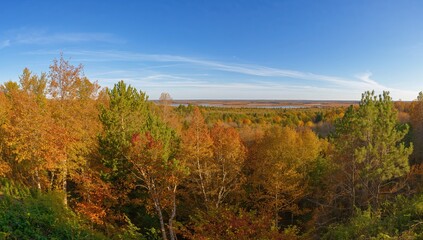 Fototapeta premium Scenic autumn woodland landscape close to a rural settlement on a bright fall afternoon
