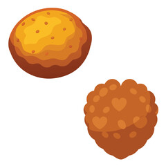 Two round fried food items with textured surfaces on a white background