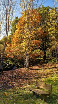 Parco La Sponga