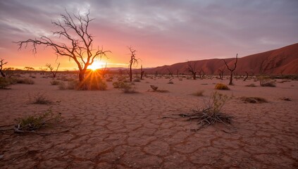 Desiccated oasis surrounded by arid land, highlighting erosion risk