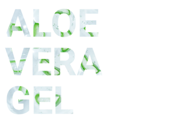 Text ALOE VERA GEL filled with gel texture and aloe vera leaf pieces, isolated on transparent background.