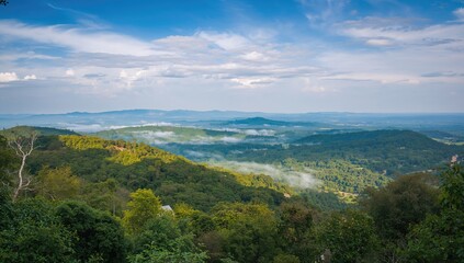 Naklejka premium Blue sky and lush forest scenery