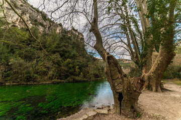 Rives de la Sorgue à l'entrée de Fontaine-de-Vaucluse, Vaucluse, France