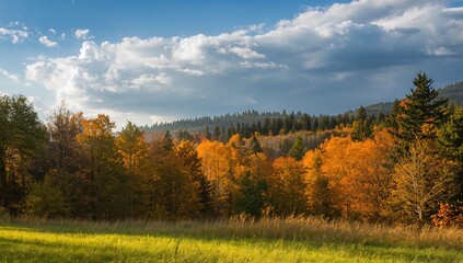 Fototapeta premium Autumn scenery with golden trees and sunlit grass in a countryside setting