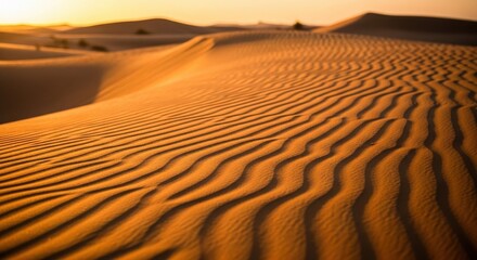 Endless Desert Sand Dunes Landscape at Sunset Golden Hour Natural Texture Pattern Background Arid Climate Nature Outdoors Travel Photography