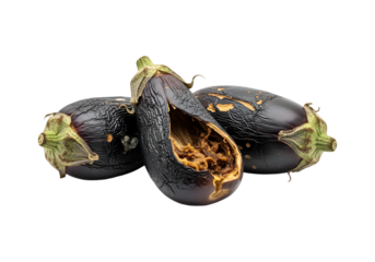 Rotten Eggplants on Transparent Background 