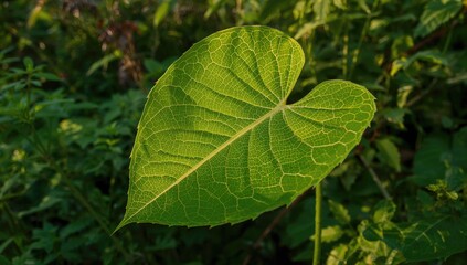 The green leaf