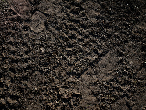 Dark Muddy Ground Footprints Texture Background