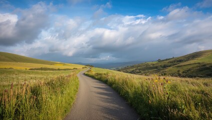Fototapeta premium Pathway Through Rural Landscape Under Clear Sky, Erosion Risk