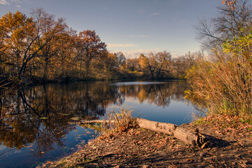 Autumn Lake. Nature Reserve, Kyiv, Ukraine