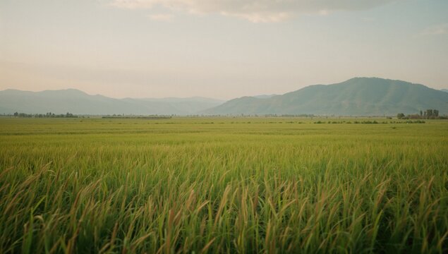 Serene open landscape with mountains and greenery, perfect for unwinding - Powered by Adobe