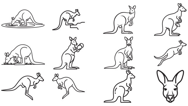 A collection of Kangaroo line art illustrations showing various poses and actions . 