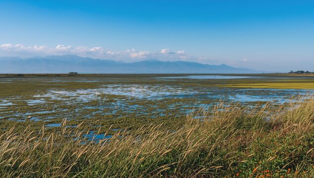 Fresh snow melt from desert shrubs in a natural spring setting