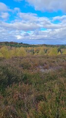 Les paysages de la forêt de Rochefort-en-Yvelines en automne (Île-de-France)