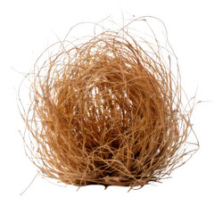 Obraz premium Desert tumbleweed isolated on white background