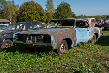 Abandoned Classic Car in Overgrown Field