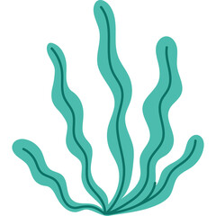 Teal Seaweed Plant With Long Flowing Fronds On A Transparent Background
