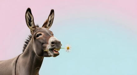Playful donkey smiling with a daisy in its mouth against a soft pastel pink and blue background