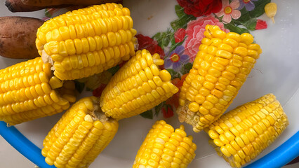 Boiled Sweet Corn on Plate – Fresh Yellow Maize Cobs, Healthy Snack Food, Organic Cooked Corn Close-up