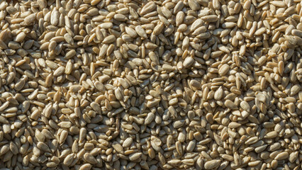 Macro background of sunflower seeds texture under natural light