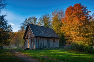Rustic cabin nestled in a wooded mountain area showcasing fall foliage beneath a bright, cloudless sky