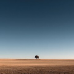 Naklejka premium Isolated tree on vast landscape under a clear blue sky at sunset