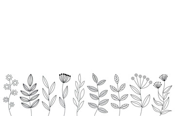Line drawing of assorted flowers and leaves arranged along the bottom edge of frame
