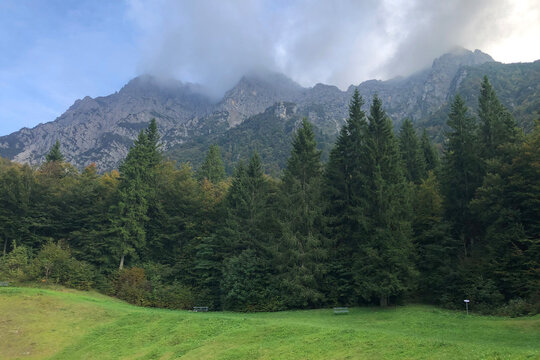 Beautiful Pine Tree Forest of Mount Alben in the Italian Alps During a Cloudy Summer Afternoon. Pian della Palla, Oltre il Colle, Bergamo Province, Italy