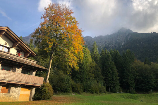 Beginning of Autumn in the Italian Alps. Colorful Leaves. Zambla Alta Mountain Village, Bergamo Province, Italy