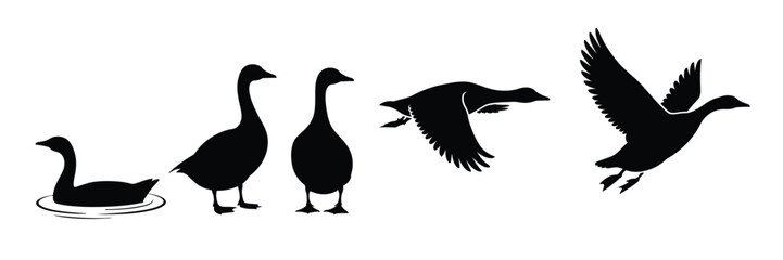 Silhouette illustration of geese in various poses including swimming and flying vector