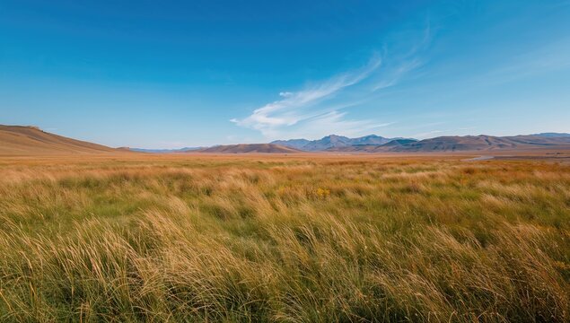 Bashang Grassland in Autumn, showcasing seasonal change
