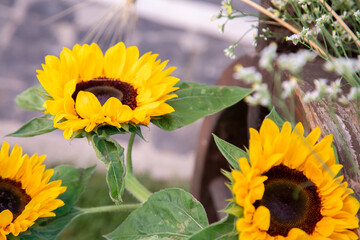 sunflowers at market, vibrant sunflowers arranged in rustic crate amidst lively outdoor market scene