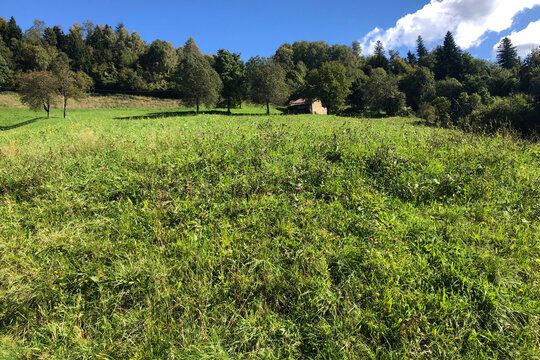 Old Isolated Stone Mountain House in Brembana Valley, Italian Alps, During a Sunny Summer Day. Beautiful View. Dossena Mountain Village, Bergamo Province, Italy